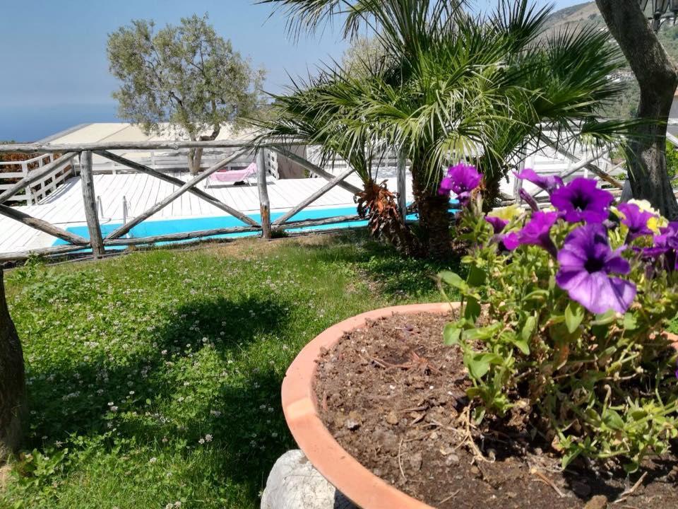 Il Casale Del Golfo Apartment Vico Equense Bagian luar foto